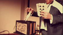 5 Card Suit