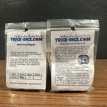 Magnetic Dice Set & 3 Regular Matching Dice by Trick-Dice.com (#5 Bin1)